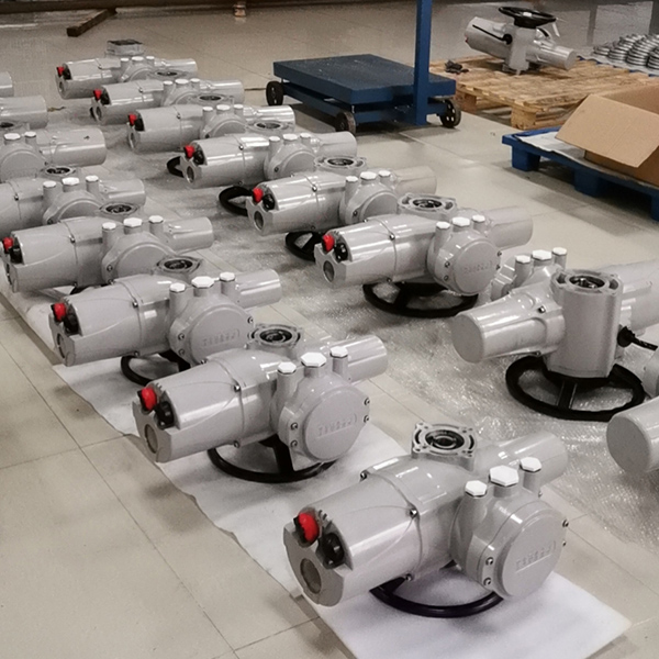 智能型電動(dòng)執(zhí)行器配套電機(jī)(羅托克)